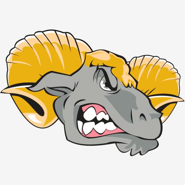 RAM HD0503 RQC Thumbnail