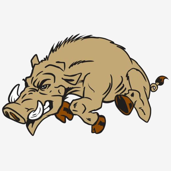 AR20 RAZORBACK 37 RQC Thumbnail